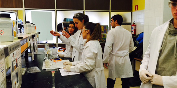 Fotografía de los alumnos durante las prácticas